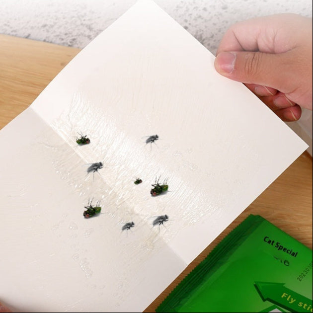 Strong Sticky Flies Home Lure Catcher