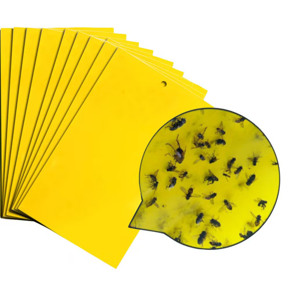 40 Pack Yellow Sticky Fly Traps – Fruit Fly & Insect Catcher Sheets