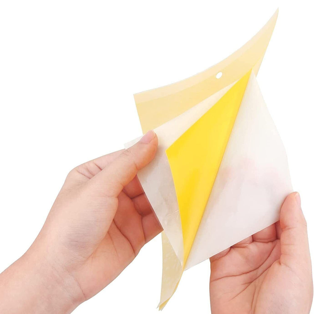 40 Pack Yellow Sticky Fly Traps – Fruit Fly & Insect Catcher Sheets