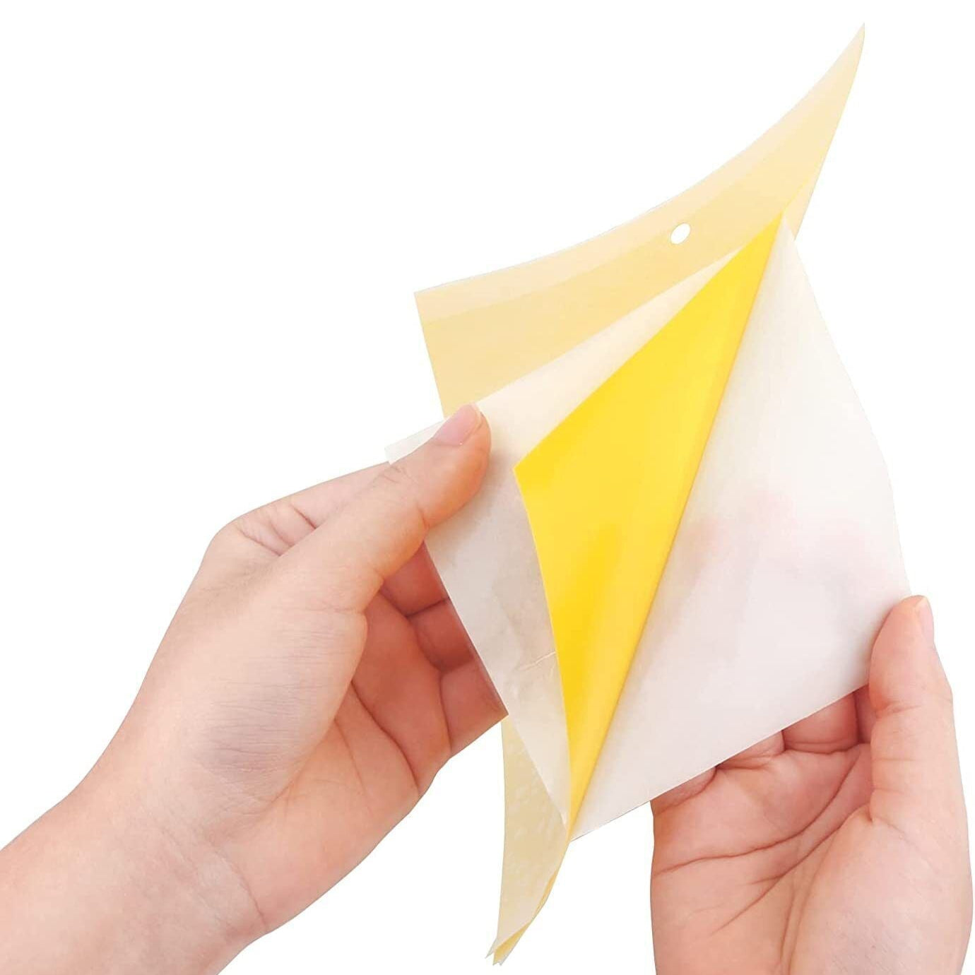 40 Pack Yellow Sticky Fly Traps – Fruit Fly & Insect Catcher Sheets